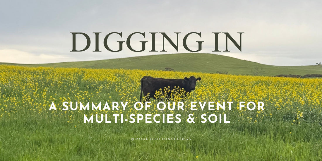 A Summary of our Digging In Event
