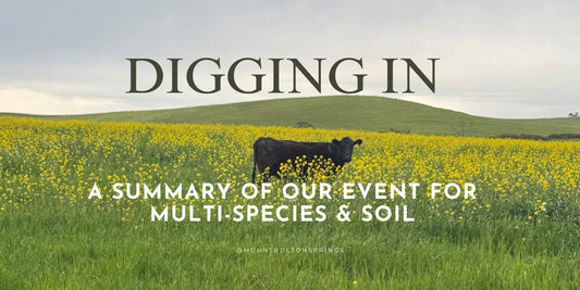A Summary of our Digging In Event