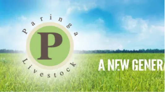 Paringa Livestock, Murrindindi - Enhancing Natural Capital